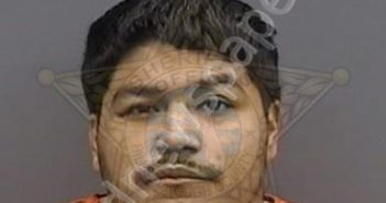 ORTIZ,JULIAN | 2025-02-05 11:56:00 Hillsborough County, Florida Booking