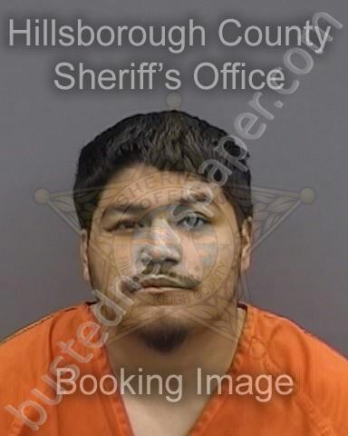 ORTIZ,JULIAN #, Hillsborough County, Florida - 2025-02-05 11:56:00