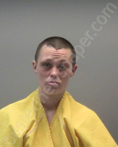WENGER, SAMANTHA MARIE #, Montgomery County, Ohio - 2025-02-05 13:25:00