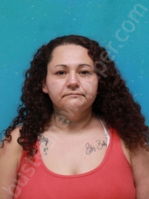 MELISSA CARMACK #, Cape Girardeau County, Missouri - 2025-02-05 15:17:00