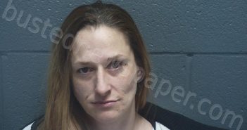 JOHNSON, MICHELLE KATHRYN | 2025-02-05 18:04:00 Montgomery County, Indiana Booking