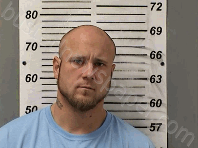 GLEASON, DAMIAN PATRICK #, Defiance County, Ohio - 2025-02-06 13:09:00