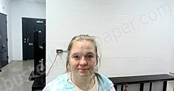 HORTON, LISA LORENE | 2025-02-06 11:48:00 Fulton County, Arkansas Booking