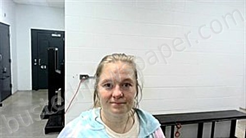 HORTON, LISA LORENE #, Fulton County, Arkansas - 2025-02-06 11:48:00