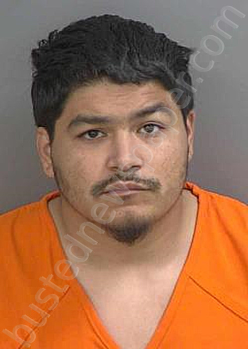 ORTIZ,JULIAN ANGEL #, Collier County, Florida - 2025-02-06