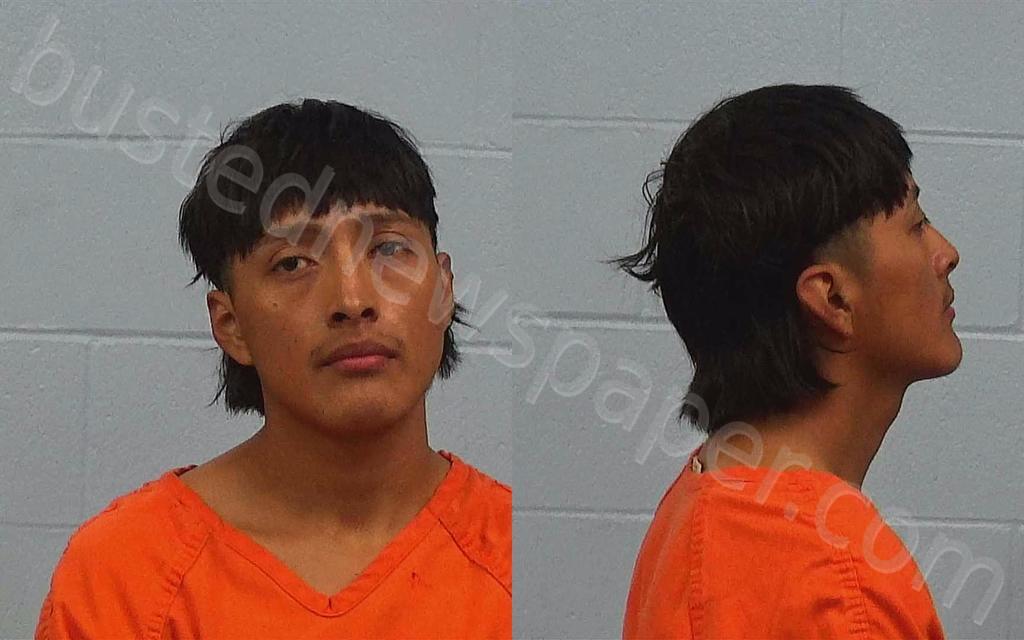 ALVARADO-FERNANDO, LUIS #, Williamson County, Texas - 2025-02-06