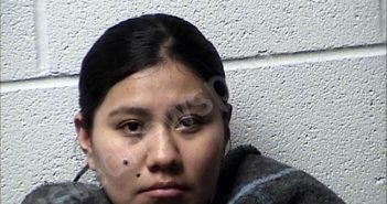 MINQUIS VILLASECA, IMELDA II | 2025-02-07 Chase County, Kansas Booking