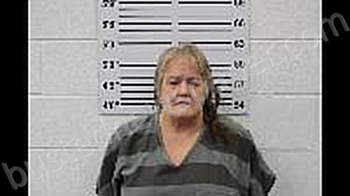 JOHNSON, KIMBERLY A #, Dakota County, Nebraska - 2025-02-07