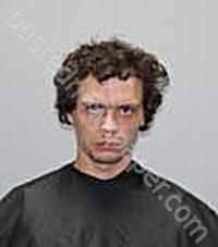 MORRIS, BRADLEY DWAYNE #, Pickens County, South Carolina - 2025-02-07