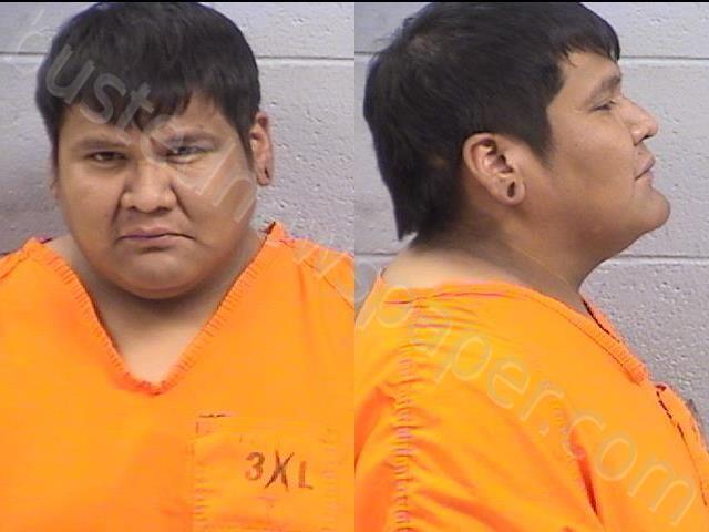 BRYAN, RANDRICK MARTIN #, San Juan County, New Mexico - 2025-02-07 20:36:00