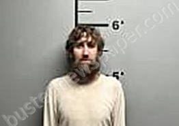 <B>MCILROY</B>, <B>JORDAN</B> <B>HAYDEN</B> #, Benton County, Arkansas - 2025-02-07