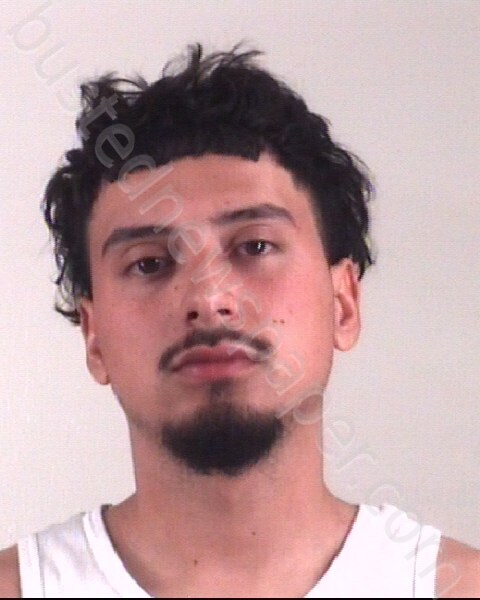 RAMIREZ, HECTOR DANIEL #, Tarrant County, Texas - 2025-02-08