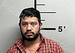 LARA-<B>CHAVEZ</B>, <B>HECTOR</B> #, Benton County, Arkansas - 2025-02-09