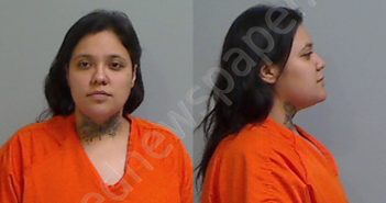 <B>FLORES</B>, <B>ASHLEY</B> SHENEE #, Hidalgo County, Texas - 2025-02-09