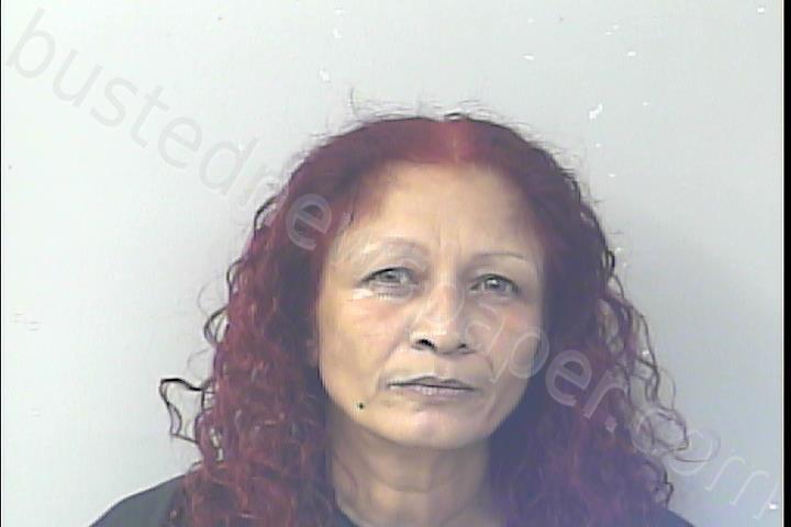 NEGRON, JULISSA IRMARIS #, St. Lucie County, Florida - 2025-02-09 15:57:00
