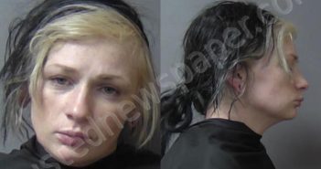 <B>MCBRIDE</B>, <B>KAYLA</B> <B>MARIE</B> #, Madison County, Indiana - 2025-02-09 14:39:00