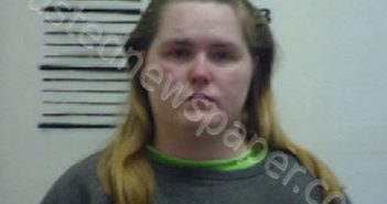 GRAVES, SARAH ARLENE | 2025-02-09 10:41:00 Cherokee County, North Carolina Booking