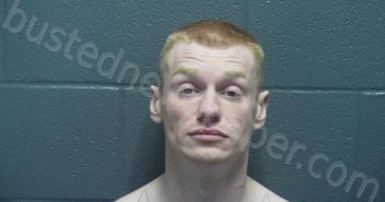 VERBOWSKI, LAWRENCE EDWARD | 2025-02-09 02:47:00 Montgomery County, Indiana Booking