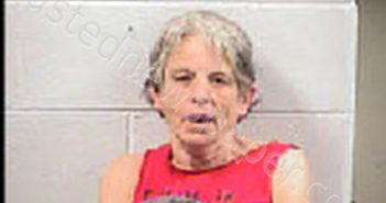 OWENS, DONNA LYNN | 2025-02-09 20:25:00 Transylvania County, North Carolina Booking