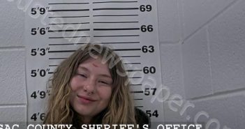 NICOLE, CHEYENNE | 2025-02-09 06:44:47 Massac County, Illinois Booking