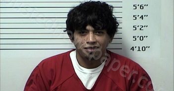 MELCHOR <B>GARCIA</B>, JOSE FRANCISCO #, Rhea County, Tennessee - 2025-02-09