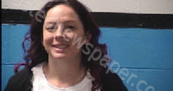 BOYER, CHRISTINA SUZANNE | 2025-02-10 12:00:00 Transylvania County, North Carolina Booking