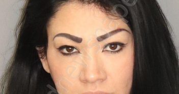 ORTEGA, ANA ROSE MOJICA | 2025-02-10 10:31:00 Jefferson County, Alabama Booking