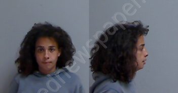 DIAZ, DAISY ARLENE | 2025-02-10 Hidalgo County, Texas Booking