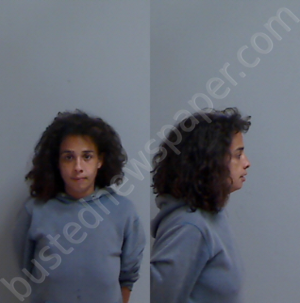 DIAZ, DAISY ARLENE #, Hidalgo County, Texas - 2025-02-10
