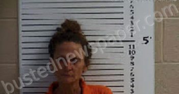 WILCOX, ELLEN DOCKERY | 2025-02-10 11:19:00 Cherokee County, North Carolina Booking