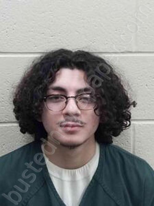 JOSE PARADA-DIAZ #, Andrew County, Missouri - 2025-02-10 13:30:00