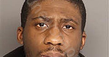PINCKNEY, TYSHAWN RAZEIK | 2025-02-11 00:39:00 Berkeley County, South Carolina Booking