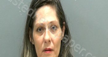 <B>ANDREWS</B>, <B>JESSICA</B> NICOLE #, Darlington County, South Carolina - 2025-02-11 01:09:00