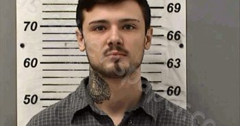 WILLEMAN, ALEXANDER LEE | 2025-02-11 14:39:00 Fulton County, Ohio Booking