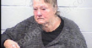 FOGLE, JULIE ANN | 2025-02-11 00:46:00 Transylvania County, North Carolina Booking