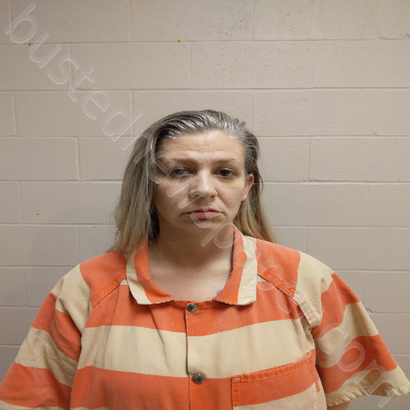INGRAM, TRIZMA NICOLE #, Brown County, Texas - 2025-02-11 00:32:00