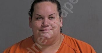 OVERMYER, MELISSA A | 2025-02-11 Sandusky County, Ohio Booking