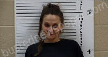 WILCOX, ELLEN DOCKERY | 2025-02-12 16:03:00 Cherokee County, North Carolina Booking
