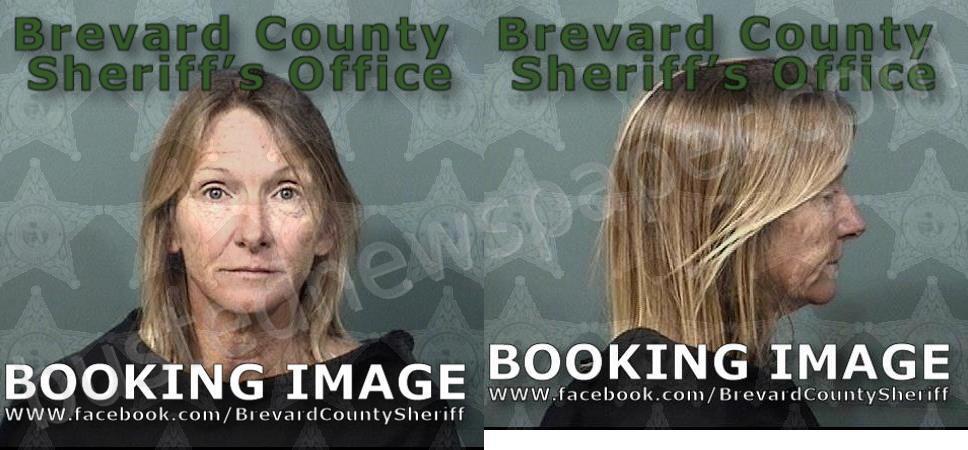 WILLIAMS, KIMBERLY LYNN #, Brevard County, Florida - 2025-02-12 08:50:00