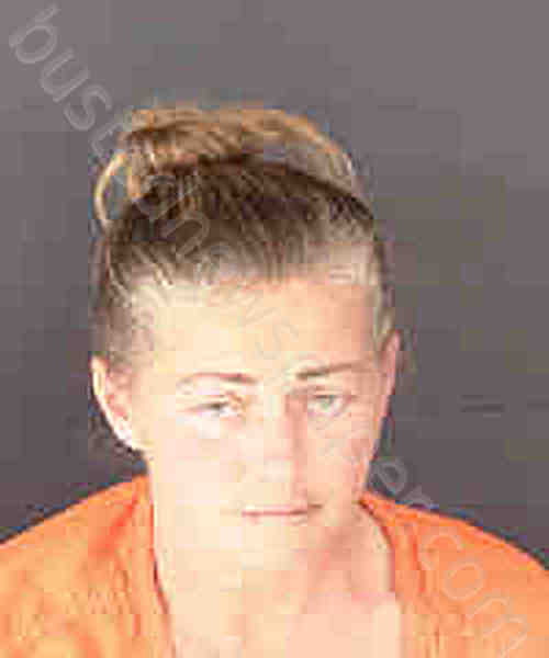 PERKINS, BRANDI LYNN #, Sarasota County, Florida - 2025-02-12