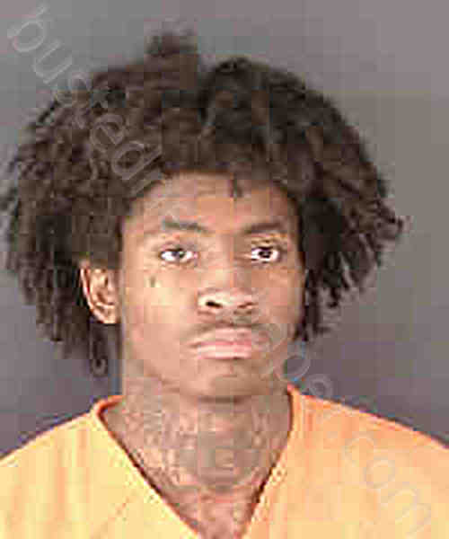 BALDWIN, EDRECK LOUIE #, Sarasota County, Florida - 2025-02-12