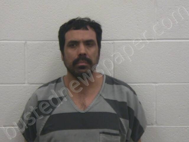 GONZALEZ-MEJIA, JOSE ANTONIO #, Loudon County, Tennessee - 2025-02-12 22:56:00