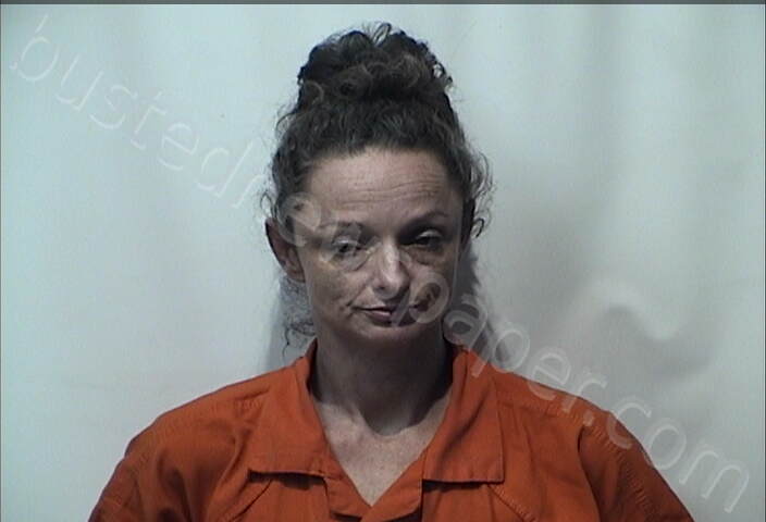 ADAMS, BRANDY SUE #, Christian County, Kentucky - 2025-02-12