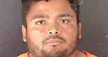 REYES HERNANDEZ, RAMSES HERNANDEZ,RAMSES | 2025-02-12 Sarasota County, Florida Booking