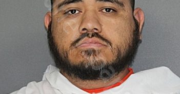 HERNANDEZ, ROSENDO IBARRA | 2025-02-12 21:30:13 Ellis County, Texas Booking