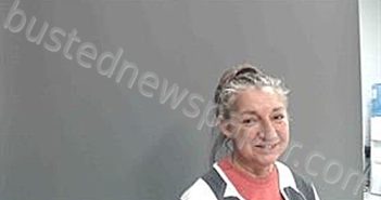 ANDREPONT, JANET MARIE | 2025-02-13 17:47:00 Cameron Parish, Louisiana Booking