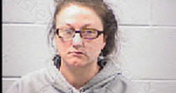 DARITY, ASHLEY MARIE | 2025-02-13 11:09:00 Transylvania County, North Carolina Booking
