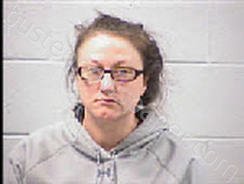 DARITY, ASHLEY MARIE #, Transylvania County, North Carolina - 2025-02-13 11:09:00