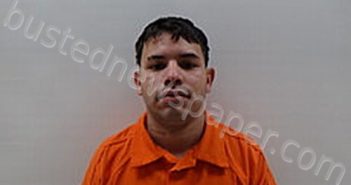 PARRA BADELL MAIKOL EDUARDO | 2025-02-13 Cameron County, Texas Booking