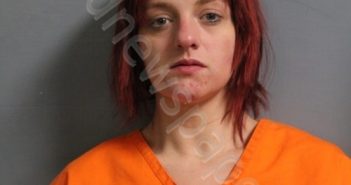 <B>SALISBURY</B>, <B>BRITTANY</B> <B>RENEE</B> #, Putnam County, West Virginia - 2025-02-14 03:00:00